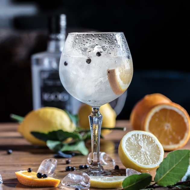 Hotel Ciutat del Prat: Gin...